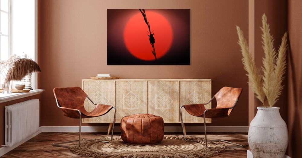 Tablou canvas, Natura, gandacel pe fir de iarba, apus, 50x30 cm [4]