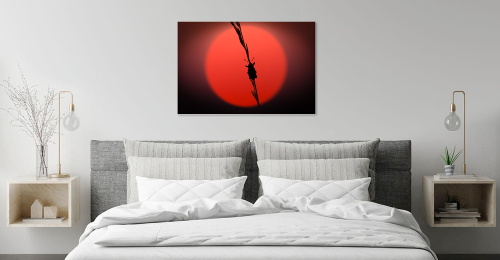 Tablou canvas, Natura, gandacel pe fir de iarba, apus, 50x30 cm [5]