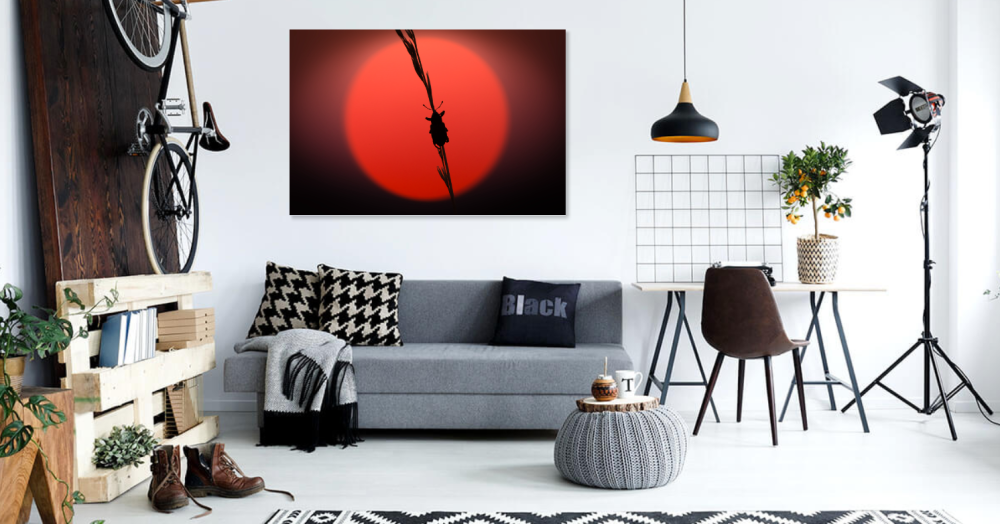 Tablou canvas, Natura, gandacel pe fir de iarba, apus, 50x30 cm [3]