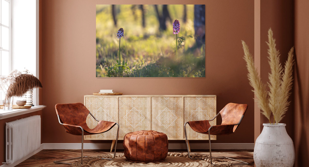Tablou canvas, Orhidee salbatica (Orchis purpurea), 90x60 cm [4]