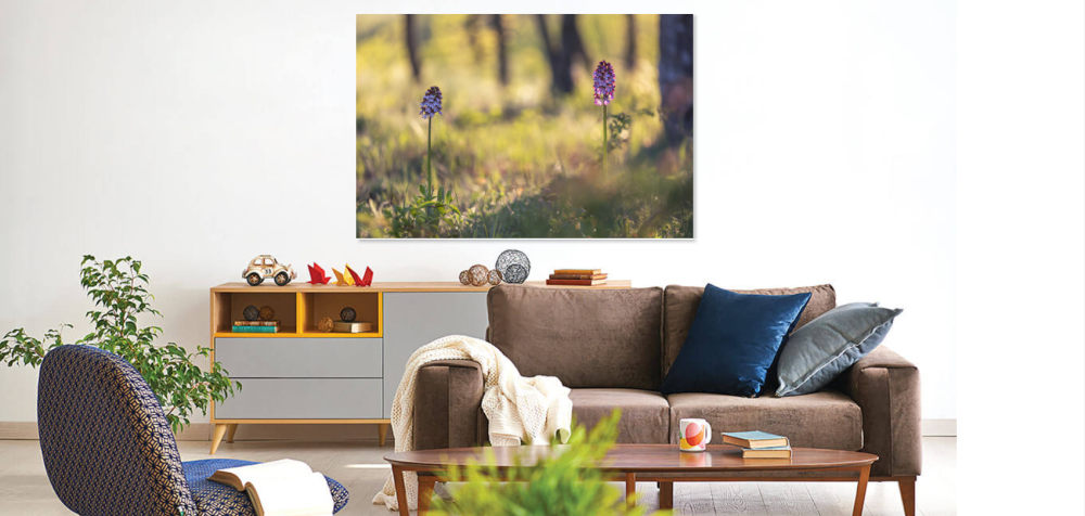 Tablou canvas, Orhidee salbatica (Orchis purpurea), 90x60 cm [2]