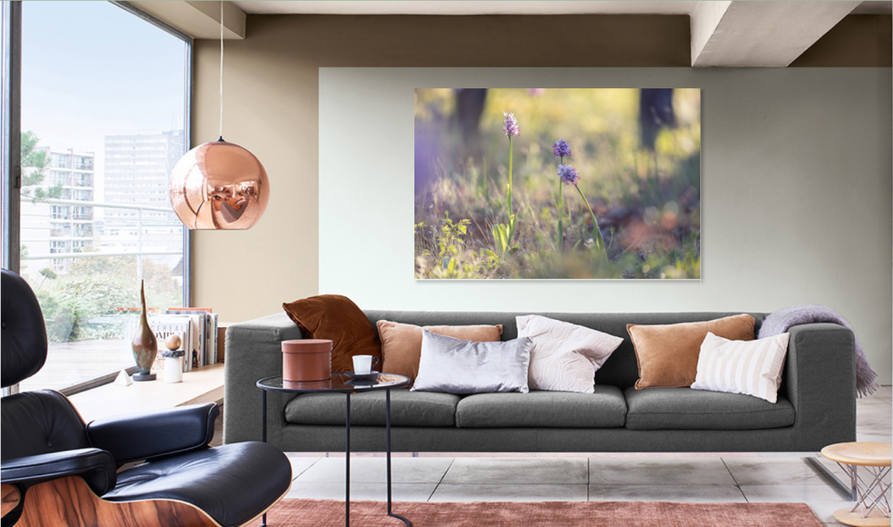 Tablou canvas, Orhidee salbatica (Orchis simia) - Monkey orchid, 100x70 cm [3]