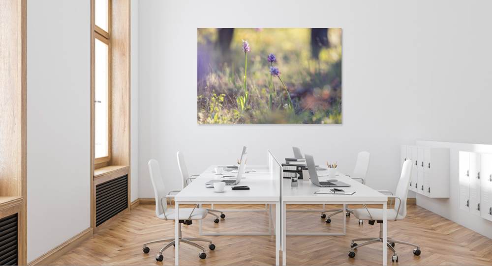 Tablou canvas, Orhidee salbatica (Orchis simia) - Monkey orchid, 100x70 cm [4]