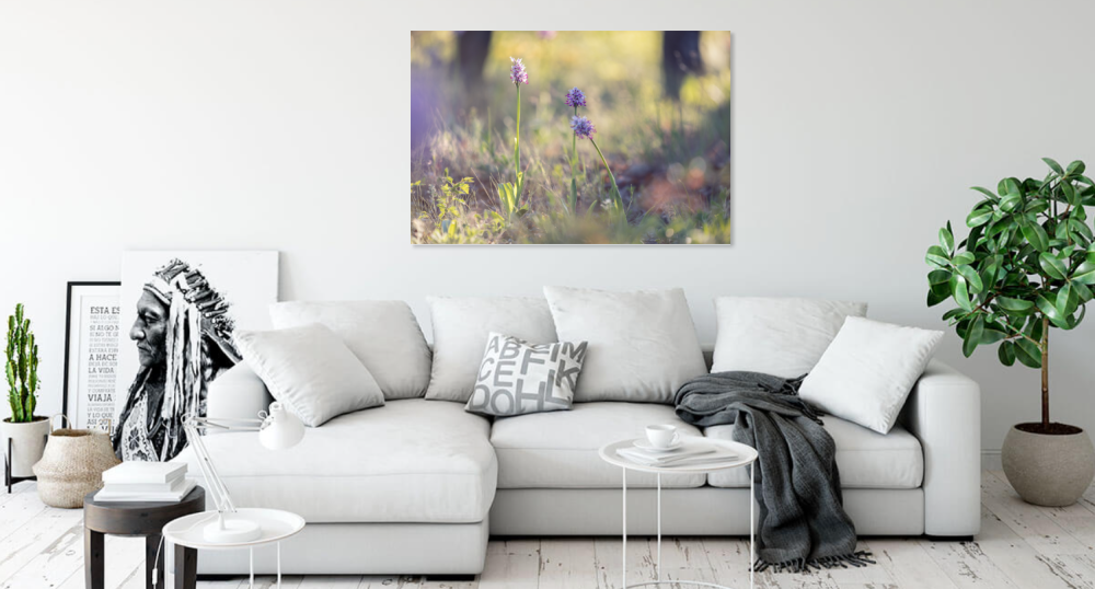 Tablou canvas, Orhidee salbatica (Orchis simia) - Monkey orchid, 100x70 cm [2]