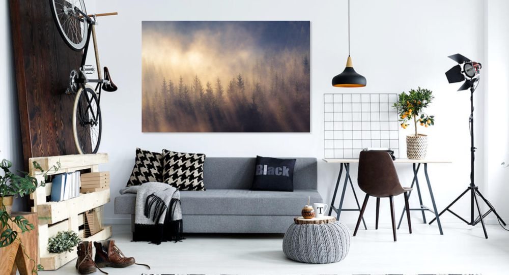 Tablou canvas, Padure de conifere in Carpatii Orientali, ceata, 100x70 cm [3]