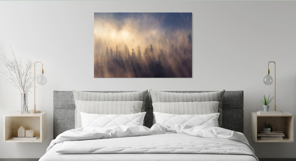 Tablou canvas, Padure de conifere in Carpatii Orientali, ceata, 100x70 cm [4]