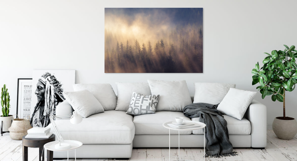 Tablou canvas, Padure de conifere in Carpatii Orientali, ceata, 100x70 cm [2]