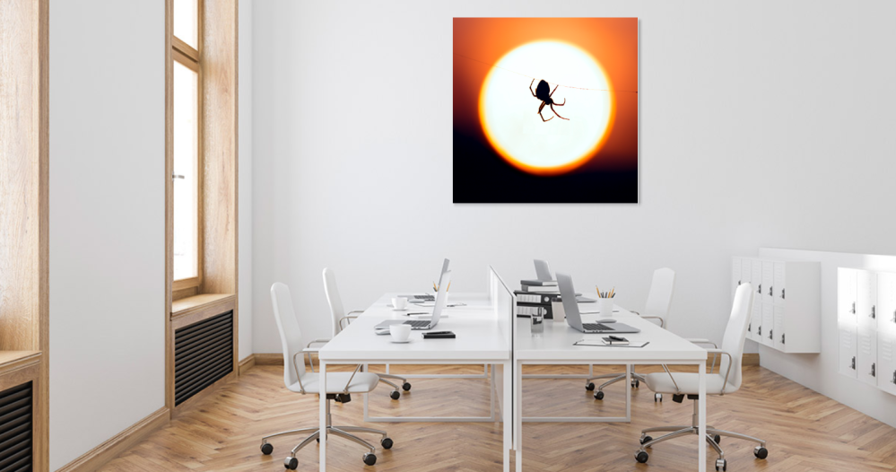 Tablou canvas, Paianjen pe panza, luna plina, 60x60 cm [5]