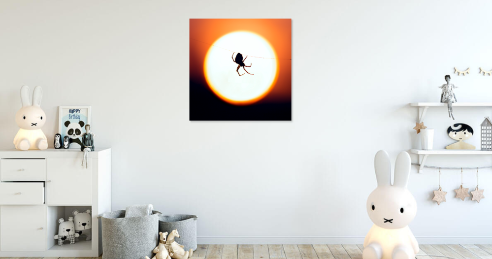 Tablou canvas, Paianjen pe panza, luna plina, 60x60 cm [4]