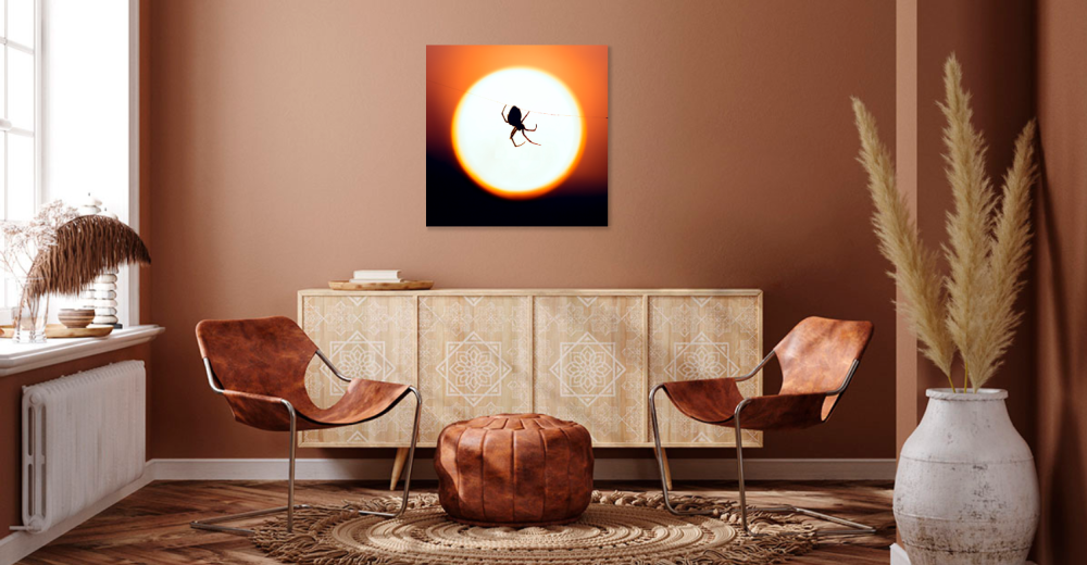 Tablou canvas, Paianjen pe panza, luna plina, 60x60 cm [3]