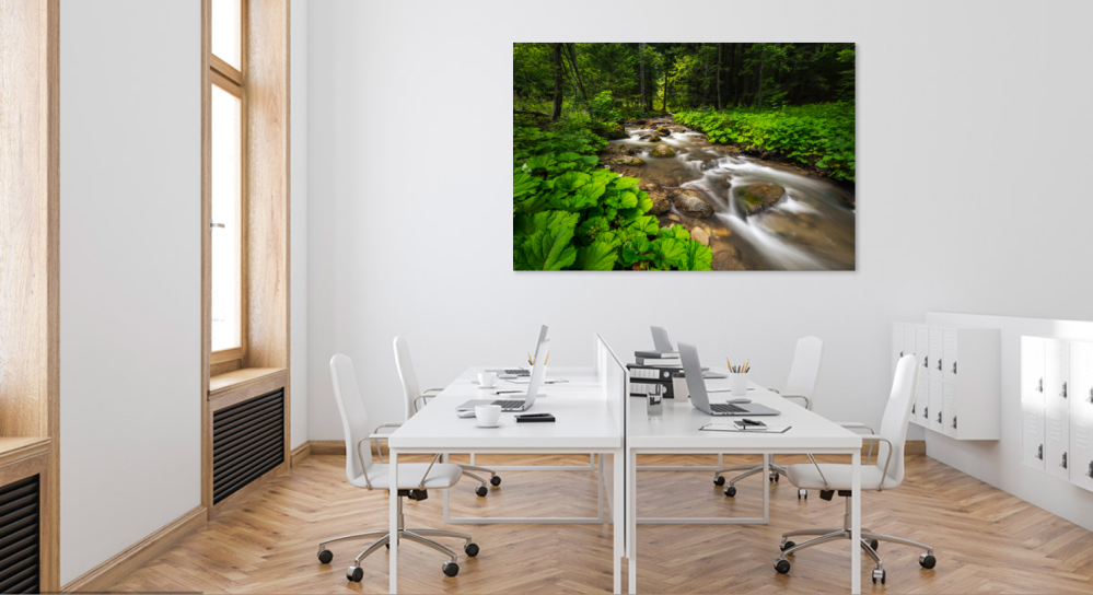 Tablou canvas, Parau de munte la Cheia, Muntii Ciucas, 75x50 cm [5]