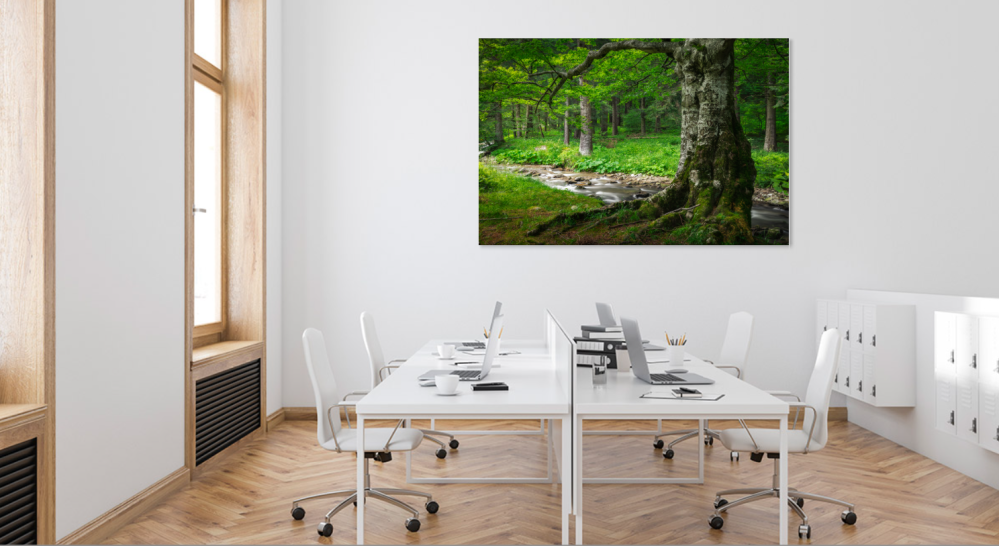 Tablou canvas, Parau din Cheia, Muntii Ciucas, 120x80 cm [2]