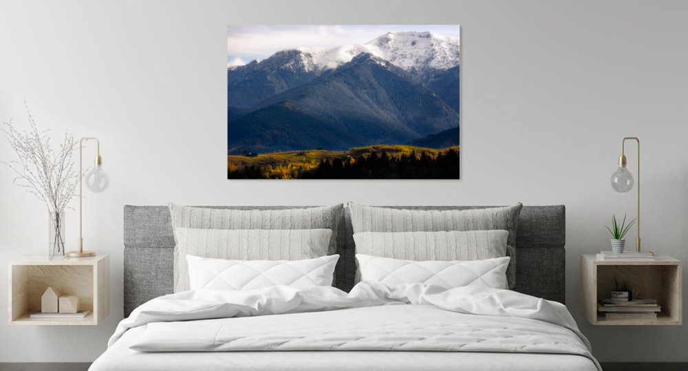 Tablou canvas, Salas pe dealurile Branului, Muntii Bucegi, 120x80 cm [4]