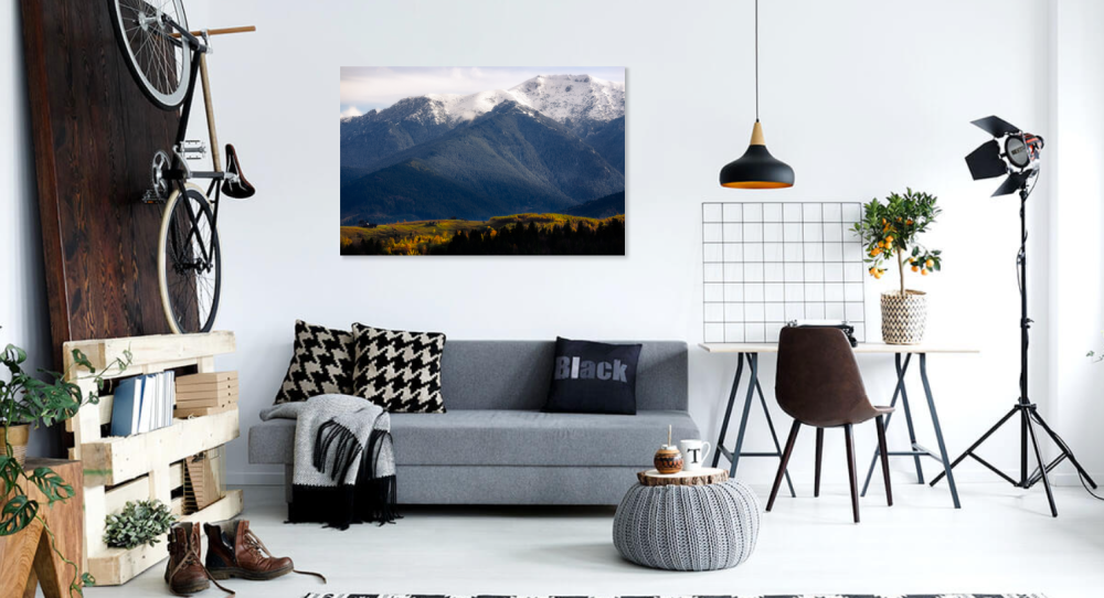 Tablou canvas, Salas pe dealurile Branului, Muntii Bucegi, 120x80 cm [2]