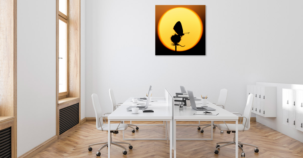 Tablou canvas, Silueta fluturelui pe luna plina, 100x100 cm [2]