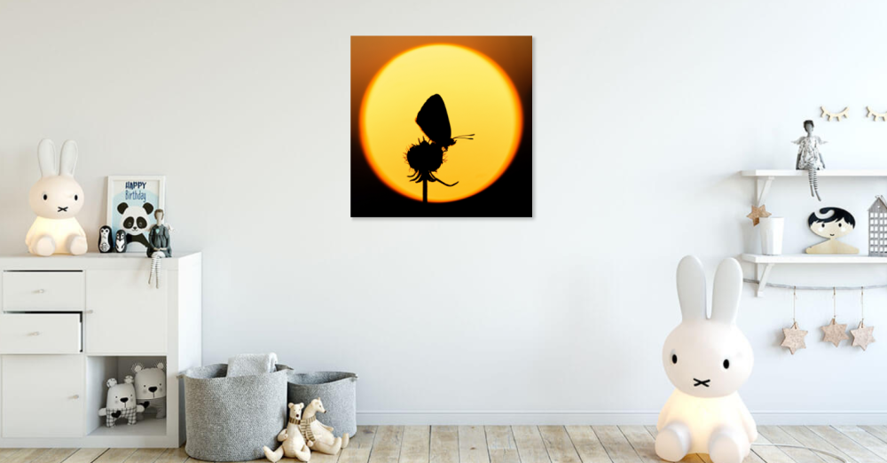 Tablou canvas, Silueta fluturelui pe luna plina, 100x100 cm [5]