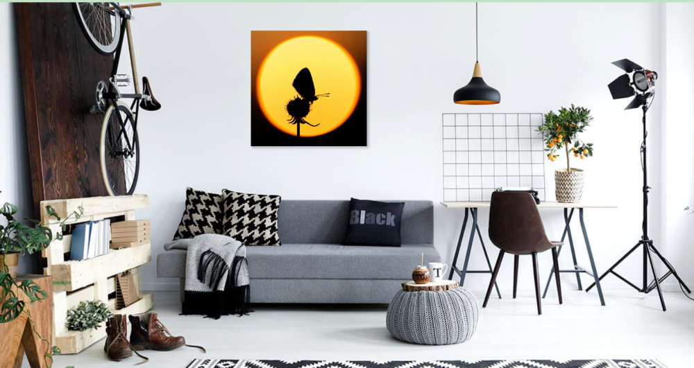 Tablou canvas, Silueta fluturelui pe luna plina, 100x100 cm [3]