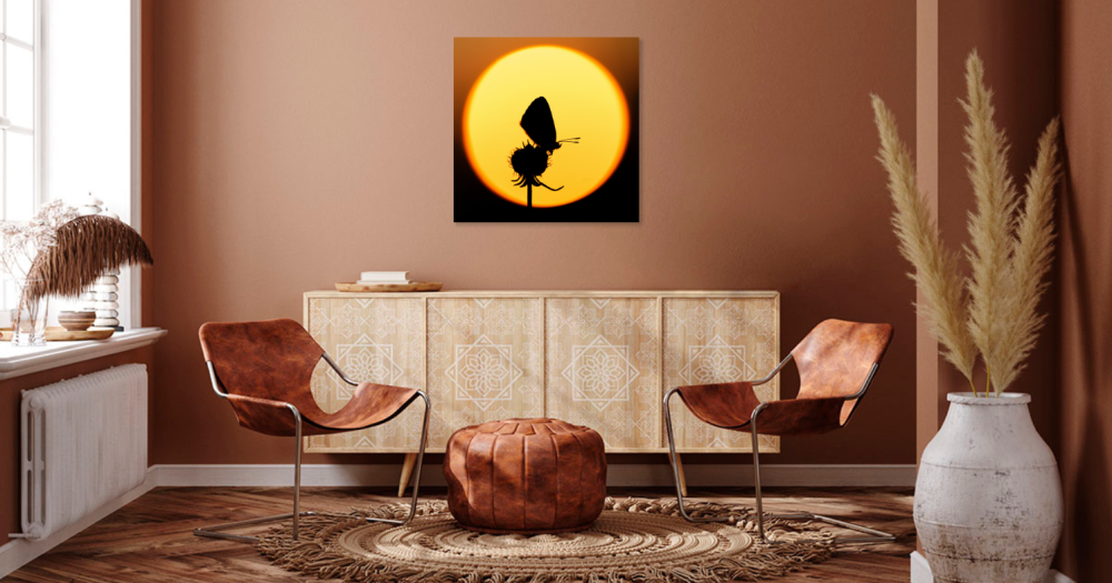 Tablou canvas, Silueta fluturelui pe luna plina, 100x100 cm [4]