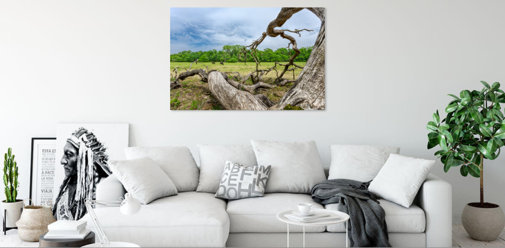 Tablou canvas, Stejar cazut pe Grindul Letea, Dunare, cai salbatici, 50x30 cm [6]