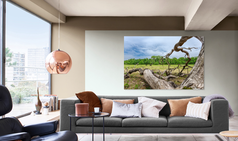 Tablou canvas, Stejar cazut pe Grindul Letea, Dunare, cai salbatici, 50x30 cm [2]