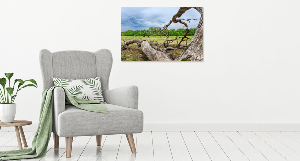 Tablou canvas, Stejar cazut pe Grindul Letea, Dunare, cai salbatici, 50x30 cm [3]