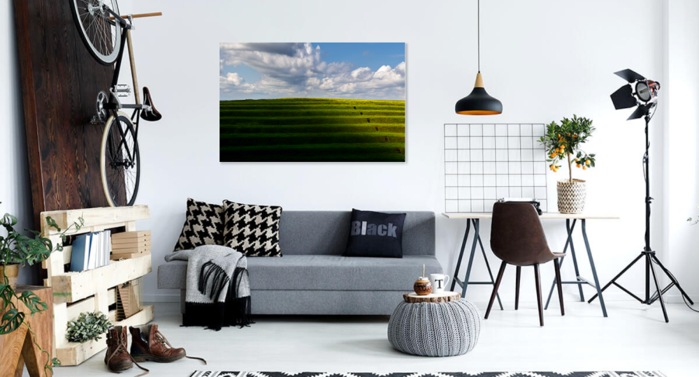 Tablou canvas, Terase pe malul Dunarii, fluviu, 100x70 cm [2]