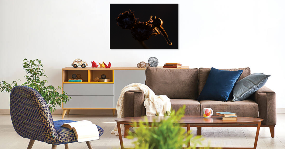 Tablou canvas, The robber fly in night on a flower, 120x80 cm [5]