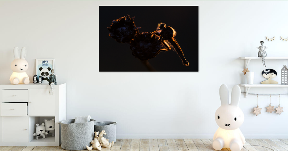 Tablou canvas, The robber fly in night on a flower, 120x80 cm [2]