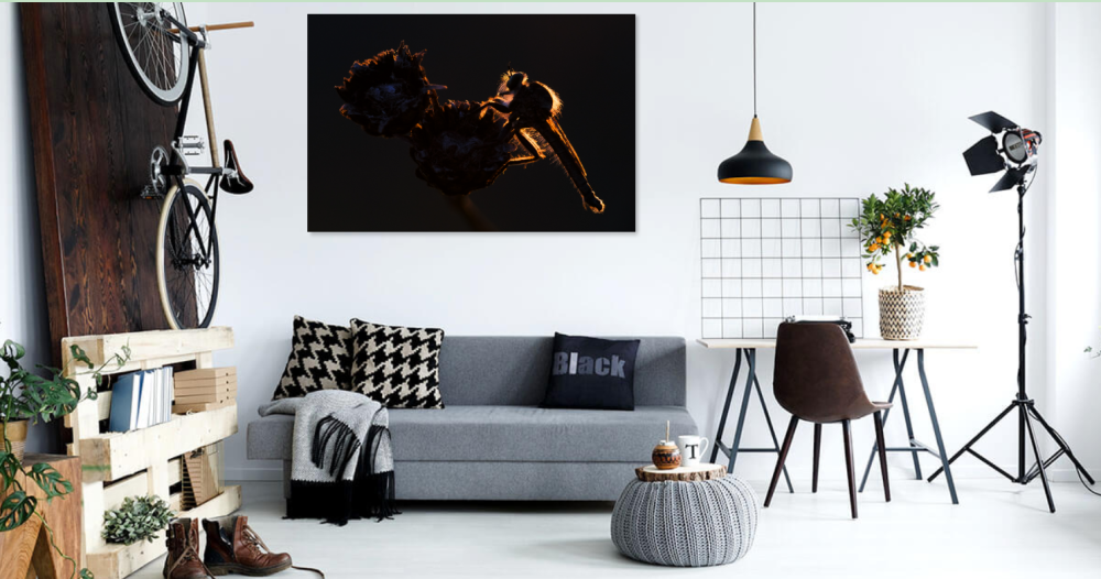 Tablou canvas, The robber fly in night on a flower, 120x80 cm [3]