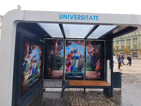 Printuri outdoor - Hartie Whiteback