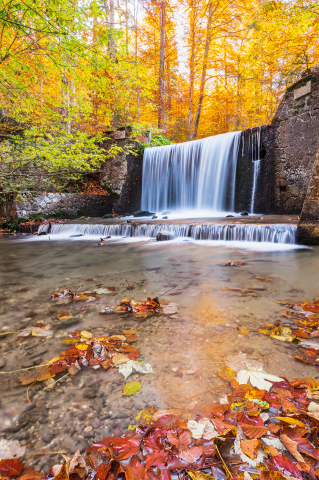 Tablouri canvas - Tablou canvas, Cascada pe Valea Pelesului, toamna, 80x120 cm