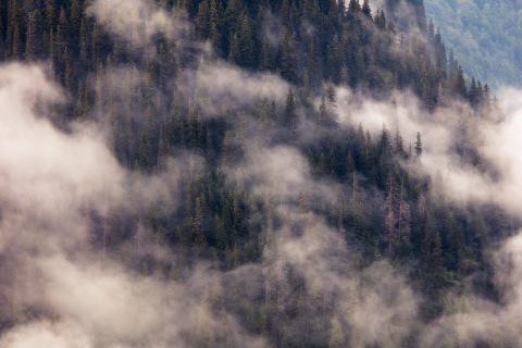 Peisaje autentice romanesti - Tablou canvas, Ceata pe pantele Muntilor Fagaras, 100x70 cm