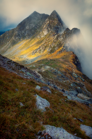 Tablouri canvas - Tablou canvas, Pantele Muntilor Fagaras, 50x75 cm