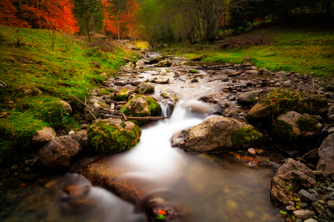 Peisaje autentice romanesti - Tablou canvas, Parau de munte, Poiana Marului, Bran, 90x60 cm