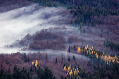 Peisaje autentice romanesti - Tablou canvas, Peisaj cu ceata in Muntii Ciucas, 100x70 cm
