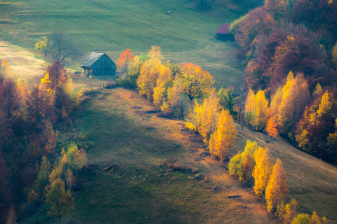 Tablouri canvas - Tablou canvas, Peisaj de toamna pe dealurile Branului, munte, 120 x 80 cm