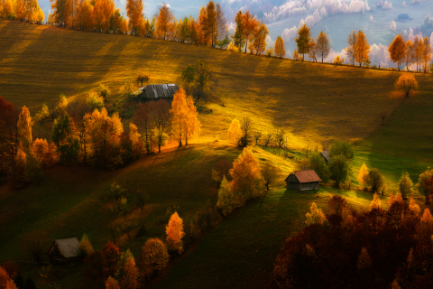 Tablouri canvas - Peisaj de toamna pe dealurile Branului din Muntii Bucegi