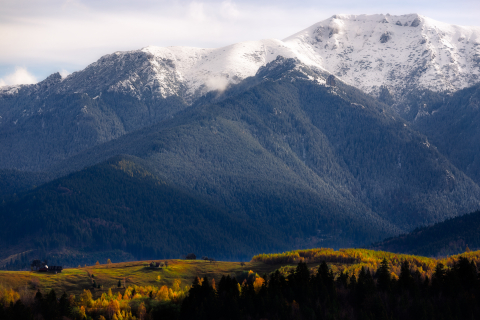 Tablouri canvas - Tablou canvas, Salas pe dealurile Branului, Muntii Bucegi, 120x80 cm