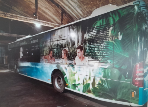 Autocolante aplicatii specifice - Window graphics