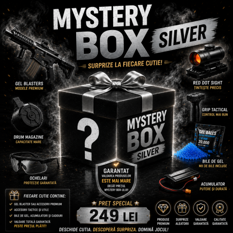 Mistery Boxes - Mistery Box Silver