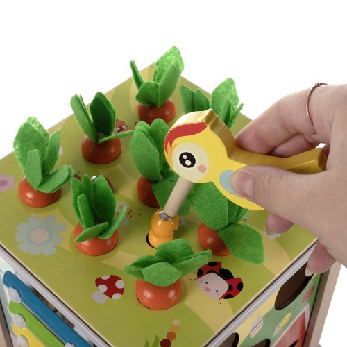 Cub Educational Montessori, 5-in-1, Lemn, multicolor, 15.5 x 16 cm, Concentrare, Indemanare, Dexteritate, Multicolor [3]
