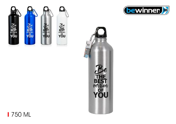 Casa & Organizare - Sticla sport aluminium 750 ml, reutilizabila, cu carabina, argintie
