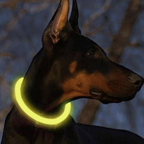 Articole Animale de Companie - Zgarda LED reglabila Purlov, incarcare USB Type-C, 3 moduri de iluminare, 20-70 cm x 1.2 cm, PVC + ABS + cauciuc, culoare Galben