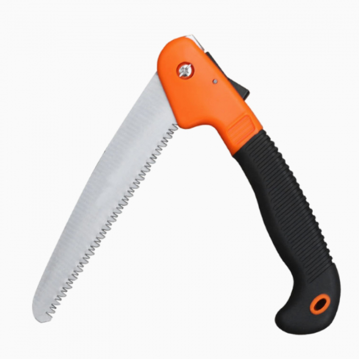 Fierastrau briceag [1]