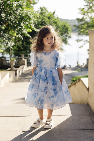 Giardine - fluffy blue flower [2]