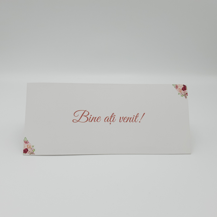 Plic bani place card 01 [3]