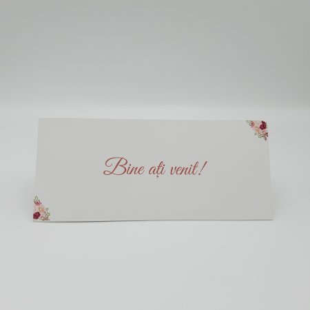 Plic bani place card 01 [2]