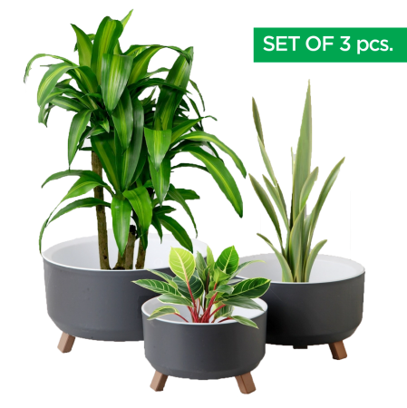 Toate Produsele - Set 3 Ghivece de Plante si Flori, model ELITE, cu 3 Picioare Pliabile, Forma Rotunda, Suport interior pentru Drenaj, Culoare Gri,