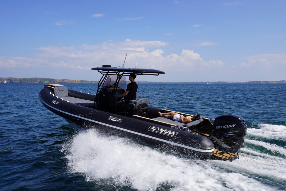 DREAM 850 [10]