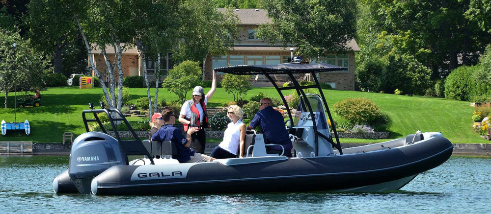 VIKING 650 [3]